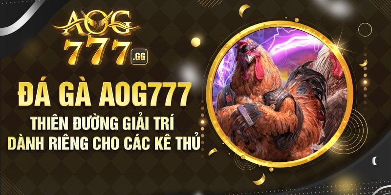 Chọi gà KUBET khiến nhiều người mê mẩn