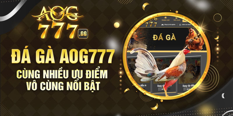 Đá gà KUBET với nhiều ưu điểm nổi bật